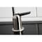 Kingston Brass Americana Single-Handle Water Filtration Faucet, Black Stainless Steel K6194 - alternate 3